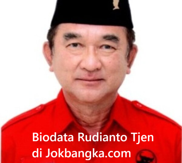 Biodata dan Profil Rudianto Tjen: Karier, Pencapaian, dan Kiprah Politik