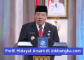 Profil Hidayat Arsani: Biografi Lengkap Gubernur Bangka Belitung