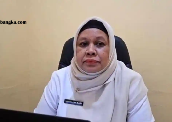 Kasus Influenza di Pangkalpinang Meningkat: Warga Diminta Waspada Ancaman Super Flu H3N2 dan Cara Cegahnya