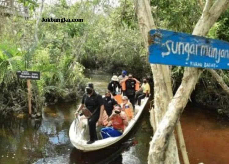 Potensi Karbon Biru di Bangka Belitung: Peluang Ekonomi & Konservasi untuk Menjadi Penghasil Blue Carbon Terbesar di Indonesia