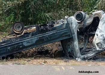 Polisi Kembali Tangkap Dua Pelaku Pencurian Kelapa Sawit di Jebus