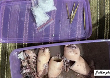 Cumi Isi Sabu di Lapas Sungailiat: Kronologi Penyelundupan Narkoba dalam Menu Lebaran yang Digagalkan Petugas