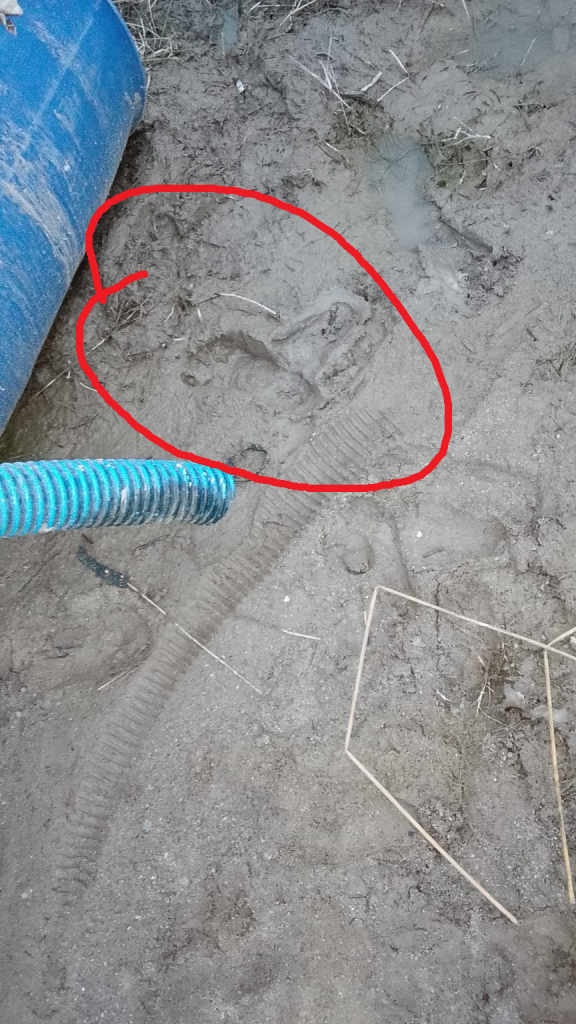 Mesin Sebu-Sebu Dicuri di Bedukang Desa Deniang, Pelaku Terancam Hukuman Pidana