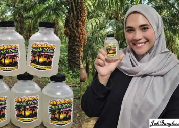 Nikmatnya Aik Kabong Mak Pau by Mak Wo, Minuman Nira Aren Murni Tanpa Pemanis Buatan