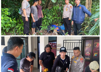 Polisi Selidiki Temuan Ganja dan Sabu dari Laporan Masyarakat di Bangka