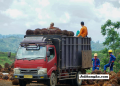 DPRD Babel Minta Perusahaan Patuhi Harga TBS Sawit, Petani Desak Keadilan Harga