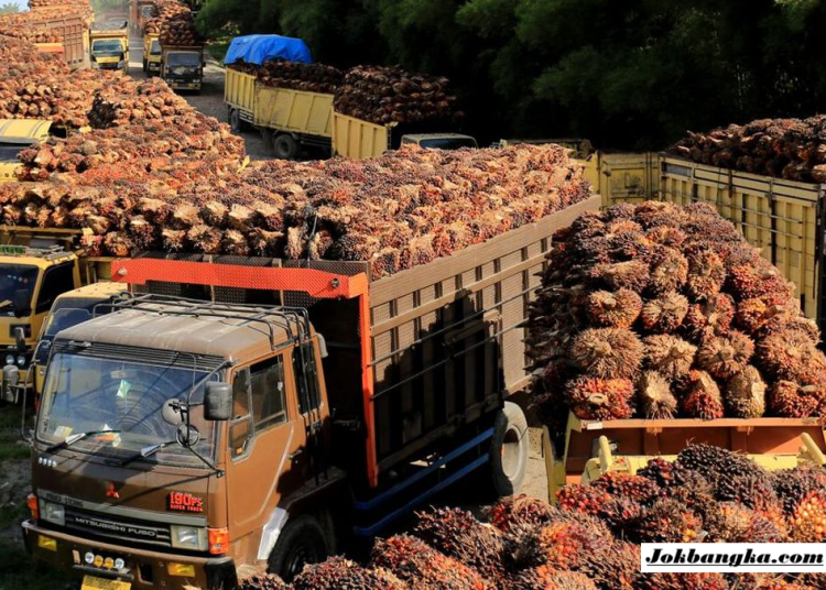 Perempuan Tani HKTI Bangka Mengadu ke Bupati, Harga TBS Sawit Anjlok Bikin Petani Terpuruk