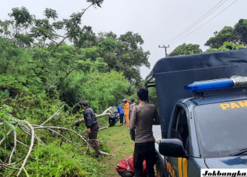 Polisi dan Warga Kompak Bersihkan Pohon Tumbang di Muntok, Akses Jalan Kembali Normal Usai Hujan Deras