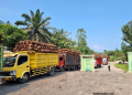 Bupati Bangka Panggil PKS Terkait Pengawasan Harga TBS Sawit, Petani Desak Transparansi dan Kenaikan Harga