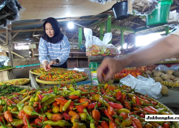 Harga Cabai Rawit di Pasar Mentok Diprediksi Tembus Rp100 Ribu Jelang Idul Adha 2026, Pedagang Mulai Waswas