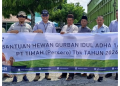 PT TIMAH Tebar Berkah Idul Adha 2026 di Bangka Barat, Puluhan Sapi Kurban Disalurkan untuk Warga