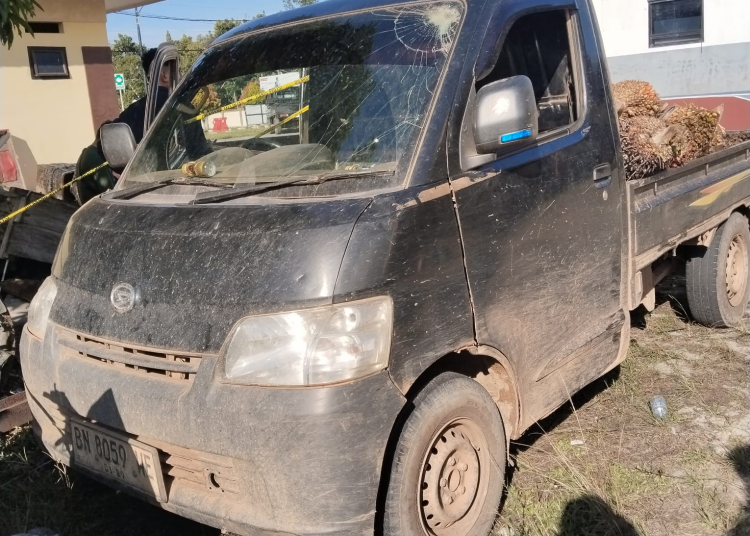 Viral Pencuri Sawit Dikejar Pemilik Kebun di Bangka Tengah, Aksi Kejar-Kejaran Berakhir Mobil Pick Up Ditinggal