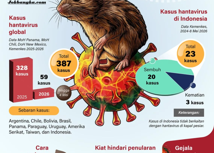 Waspada Penyebaran Hantavirus 2026: Kenali Gejala, Cara Penularan, dan Upaya Pencegahannya