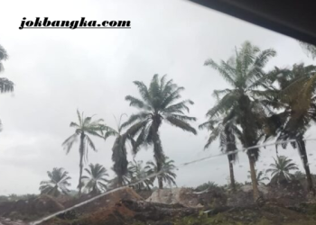 DPRD Babel Beri Tenggat 1 Bulan untuk PT GML, HGU 12.000 Hektare Terancam Diblokir Jika Tuntutan Warga Tak Dipenuhi