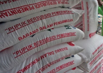 Harga Terbaru Pupuk Subsidi di Bangka Belitung 2026: Daftar HET Urea, NPK, ZA, dan Organik Lengkap per Sak