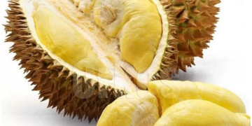 Kisah Inspiratif Jumadi, Berangkat Umroh Bersama Keluarga Berkat Hasil Kebun Durian di Bangka Barat