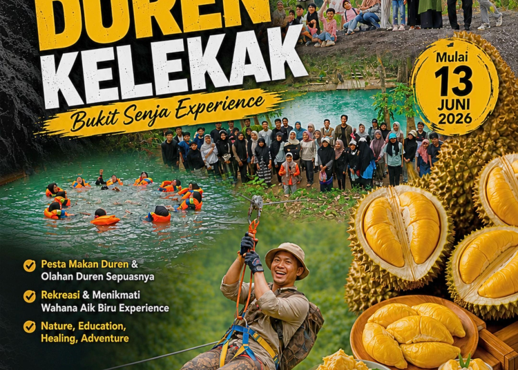 Pesta Duren Kelekak Bukit Senja Experience 2026: Wisata Durian, Aik Biru, Camping, dan Petualangan Alam Terbaik di Bangka