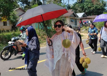 Tradisi Nganggung Durian Bangka Barat 2026, 1.000 Durian Lokal Disantap Bersama Ribuan Warga Jadi Daya Tarik Wisata Budaya