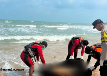 Dua Mayat Tanpa Identitas Ditemukan di Pesisir Bangka Selatan, Tim SAR Evakuasi Korban