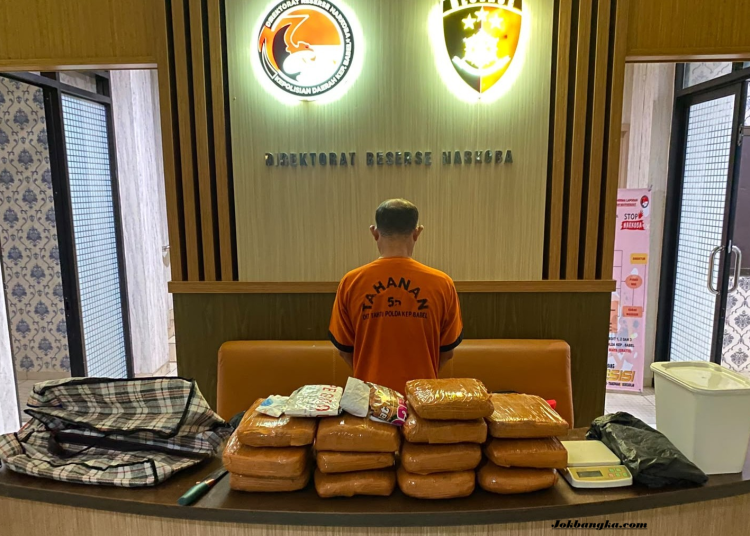 Polda Babel Tangkap Bandar Ganja di Pangkalpinang, 12,8 Kg Barang Bukti Disita