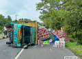 Truk Terguling di Tanjung Kalian, 915 Dus Bir Berhamburan di Jalan Raya