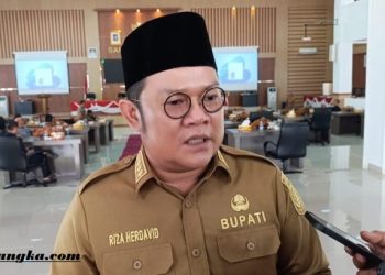 45 PPPK Paruh Waktu di Bangka Selatan Dipecat karena Kinerja Buruk, 1.162 Orang Malah Dapat Perpanjangan Kontrak